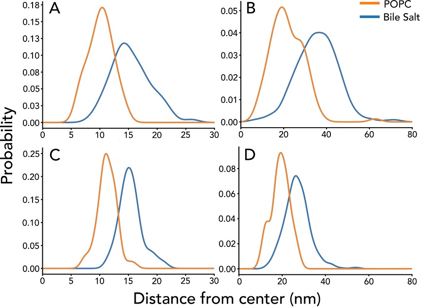 Figure 5. Radial distribution functions tracking spatial localization of lipid (yellow) and surfactant (blue) moieties. Fasted configurations for dihydroxy and trihydroxy salts are displayed in A and C; corresponding fed states are shown in B and D.