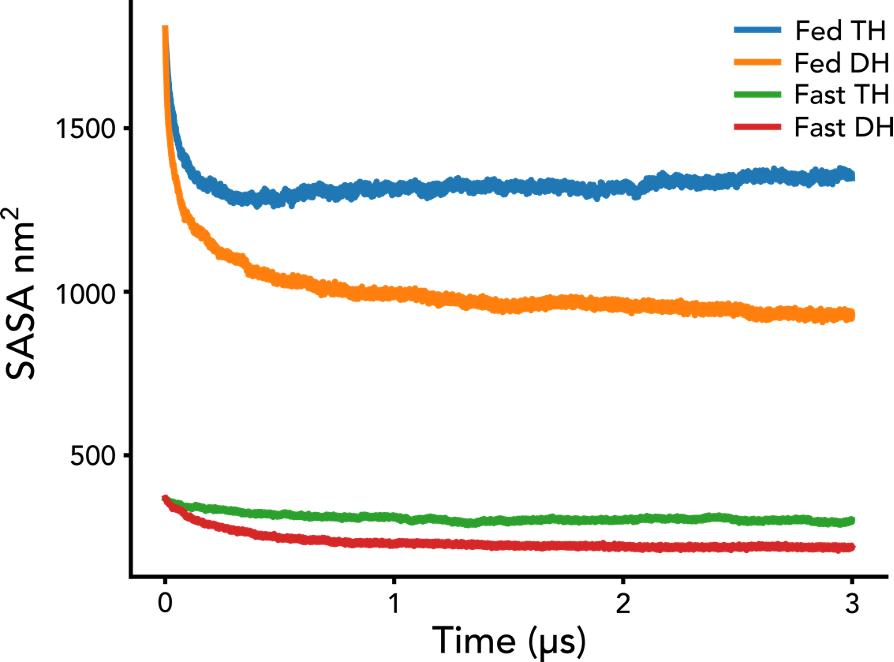 Figure 2. Temporal trajectory of solvent-accessible surface area (SASA) profiles across simulated conditions, reported as triplicated averages.